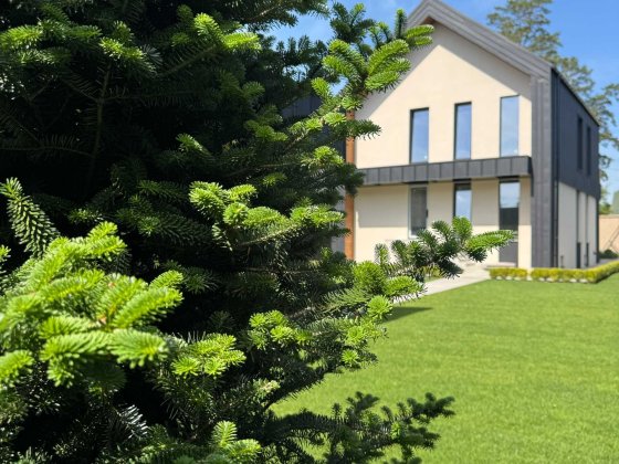 Продаж котеджу в Ірпені ,70% ремонту. Є укриття! Мінімальне оформлення Ірпінь