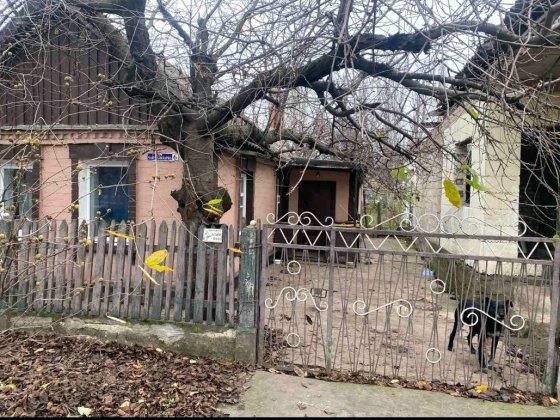 Будинок в районі Трампарка, 6,5 соток. Кривий Ріг