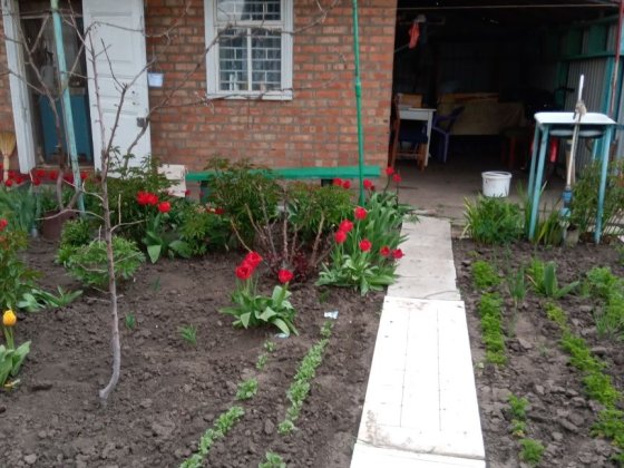 Дача ТОВ Западне Кривой Рог