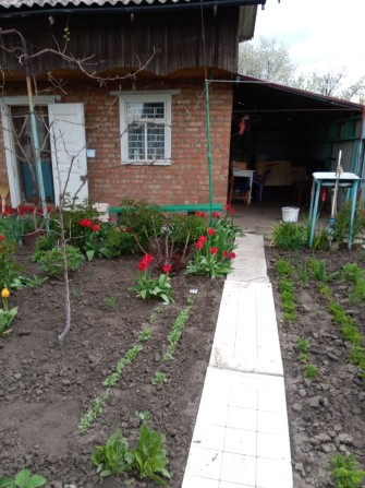 Дача ТОВ Западне - фото 1