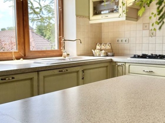 Продаж будинку 367 м² з ремонтом та меблями на ділянці 30 соток Ірпінь