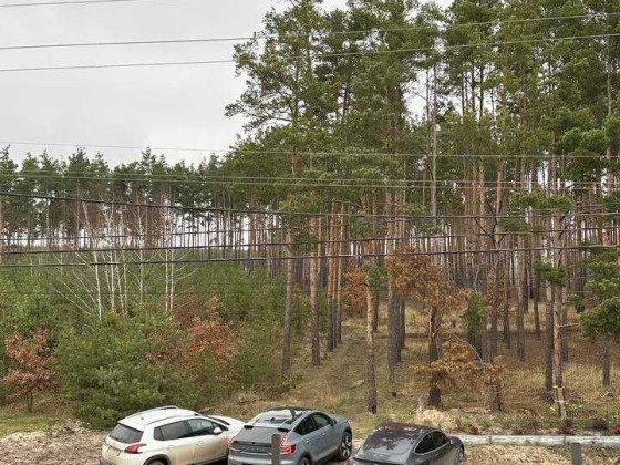 Дуплекс з видом на ліс. Просторий двір. Газ. Без комісії. Держпрограми Ірпінь