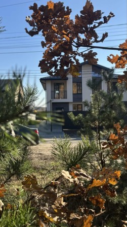 Цегляний Дуплекс з видом на Сосновий ліс. З газом, 3.5 сотки - фото 1