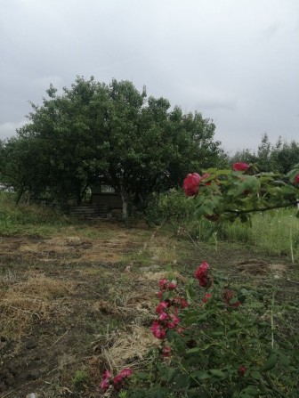 Дача у Кривому Розi на 5 зарiчному. Електрозаводська - фото 1