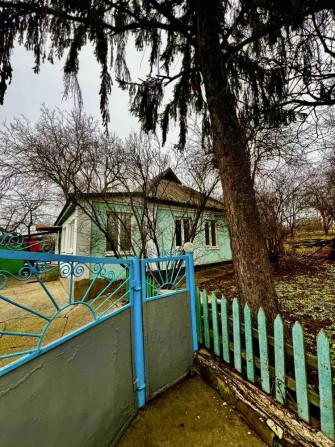 Продам два газифікованих будинки в одному дворі - фото 1