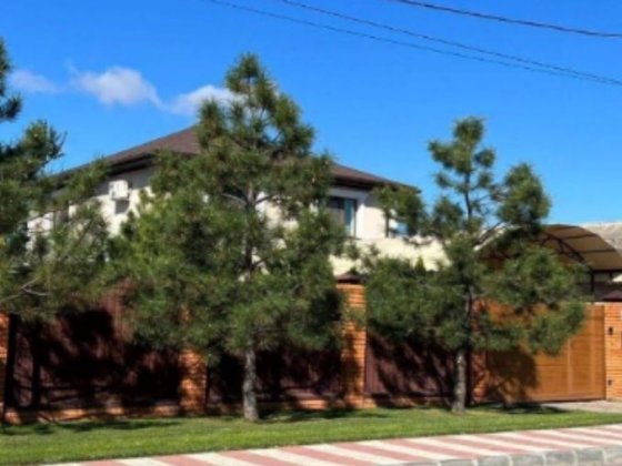 Чудовий  будинок та будиночок  з бассейном 5 хвилин до Центру Суми