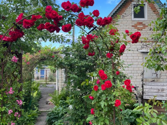 Продам дачу мрії в кооперативі Олдиш Суми