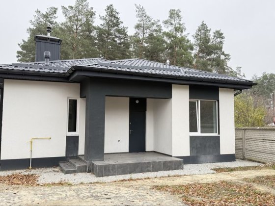 Будинок з ремонтом Центральний парк Ірпінь Ірпінь