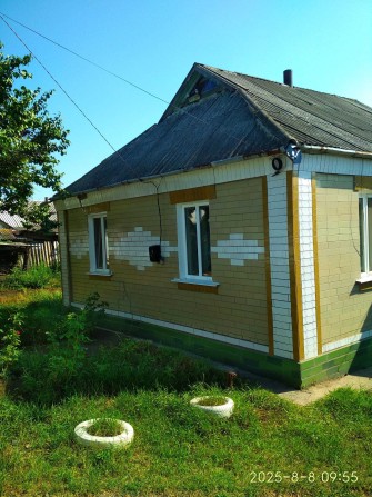будинок у селі. Черкаська область. Звенигородський район с. Петраківка - фото 1