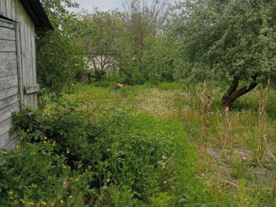 Продаю!Дача в Житловій зоні. Зем.Участок4сот.Світло.Вода.Прописка Чернігів