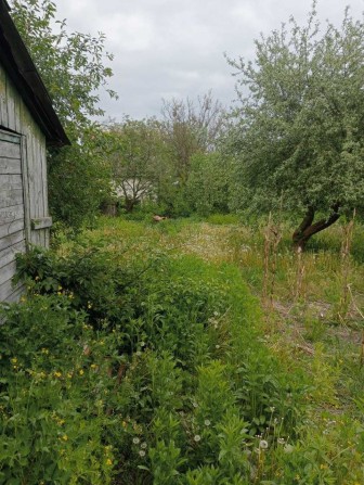 Продаю!Дача в Житловій зоні. Зем.Участок4сот.Світло.Вода.Прописка - фото 1