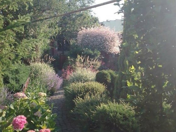 Продам дом Ужгород, Гагаріна вул. Ужгород