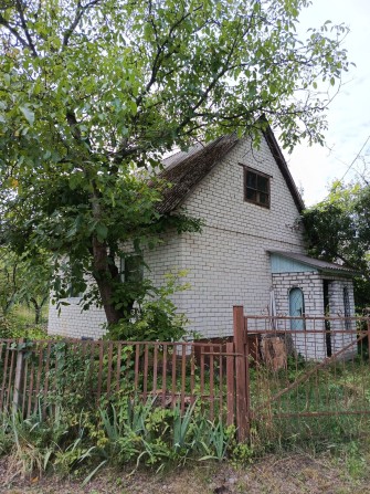 Дача поряд з лісом СТ Деснянка - фото 1