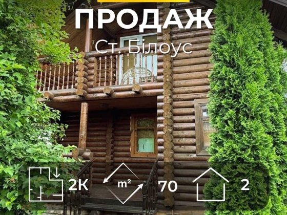 Два житлові будинки з великою ділянкою, с. Старий Білоус, MZ Чернігів