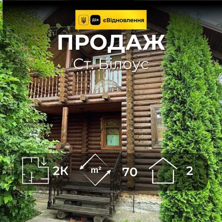 Два житлові будинки з великою ділянкою, с. Старий Білоус, MZ - фото 1