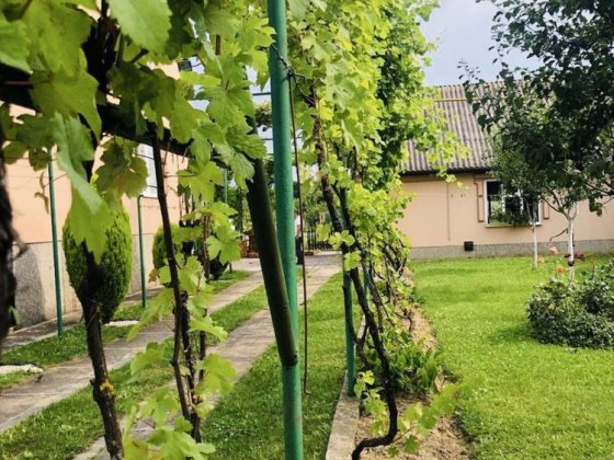 Будинок з великою ділянкою в 2-х км ввд центру Ужгород