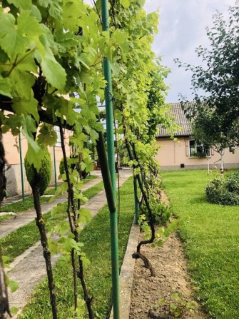 Будинок з великою ділянкою в 2-х км ввд центру - фото 1