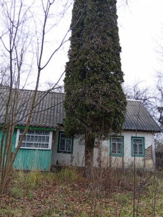 Продам будинок з ділянкою землі 37 соток - фото 1