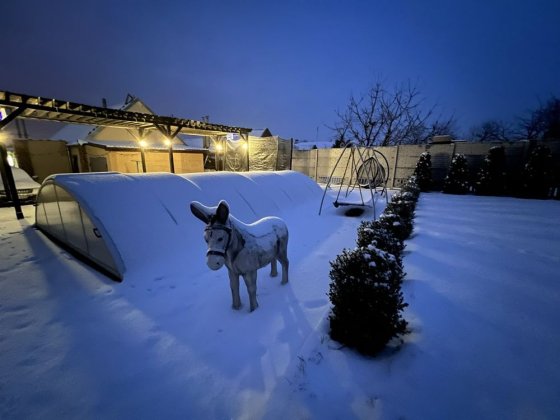 Продам приватний будинок з басейном та каміном Запорожье