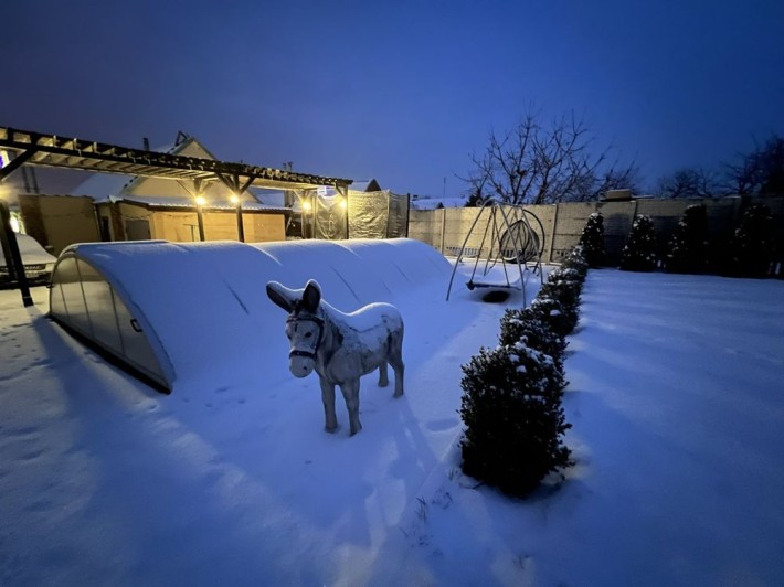 Продам приватний будинок з басейном та каміном - фото 1