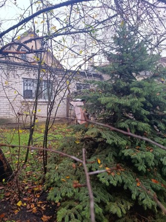 ‼️Правий берег, Рельєфна, продаж пів будинку. - фото 1