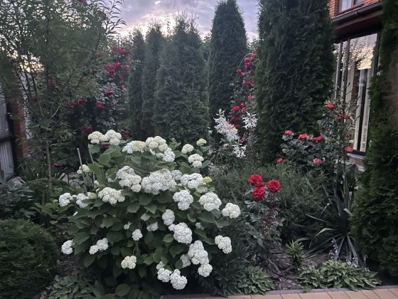 Будинок від власника перемичка перша лінія Вінниця