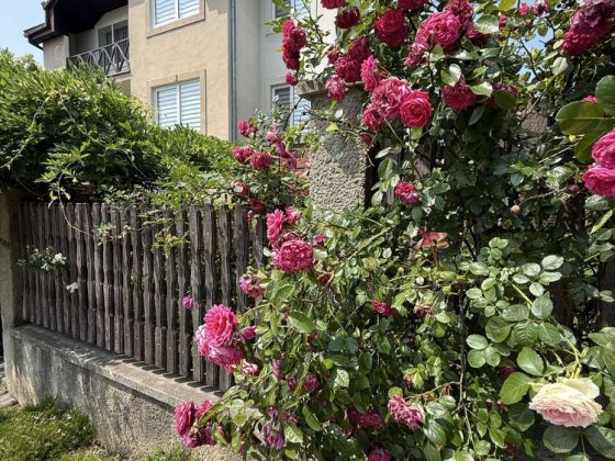 Продається будинок! Кошицька! Ужгород