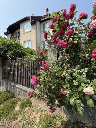 Продається будинок! Кошицька! - фото 1