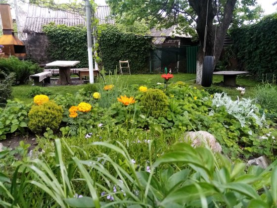 Продам будинок в м. Запоріжжя. Продам дом в г. Запорожье. Запоріжжя