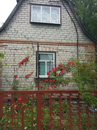 Дача в садовому товаристві Колос - фото 1