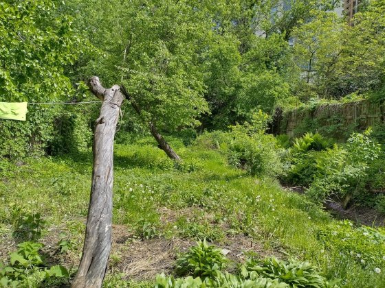 Київ, Будинок, Звіринецька, Чорна Гора, 6 соток Киев