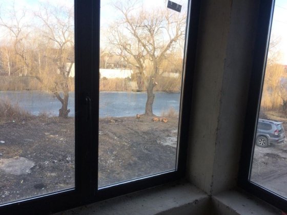 Продам дом с  участком Днепр