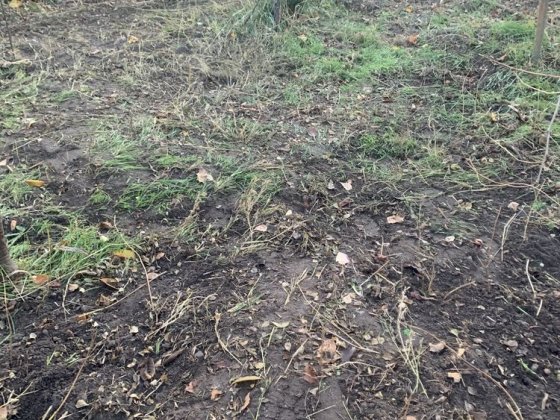 Продам Дачу Приднепровск 5,3 кадастр Днепр