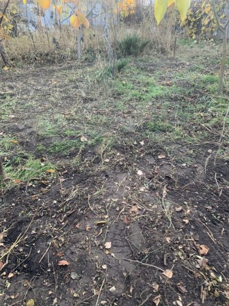 Продам Дачу Приднепровск 5,3 кадастр - фото 1