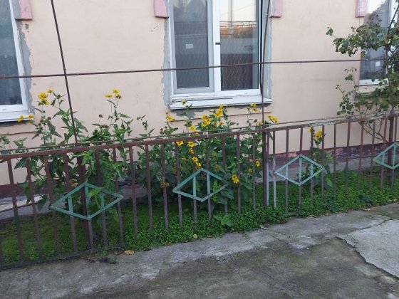 Продаю будинок Ліски Николаев