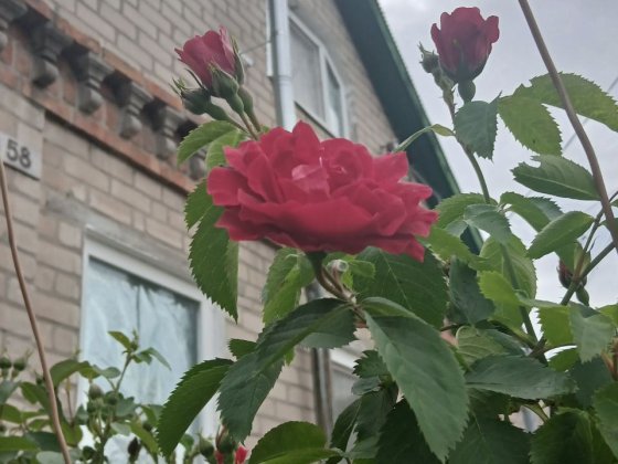 Продам дом Приднепровск Днепр