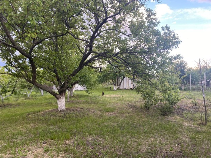 Дача с.т. Веселка - фото 1