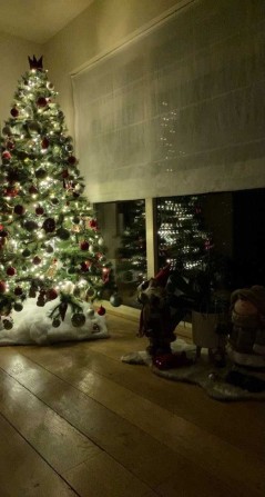 Продам окрему будівлю у центрі Одеси - фото 1