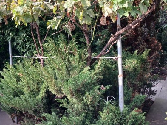 Продаю  небольшой  домик с  участком на  Фонтане. Одеса