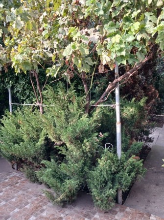 Продаю  небольшой  домик с  участком на  Фонтане. - фото 1