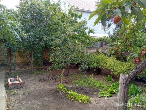 Дом с землёй у моря. (SH-212-581) Одеса