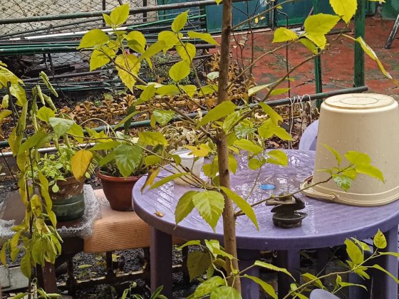 Продам участок с домом Одеса