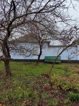 В продаже дом с участком 9 соток, Корабельный р-н ул. Ольшанцев, 170 - фото 1