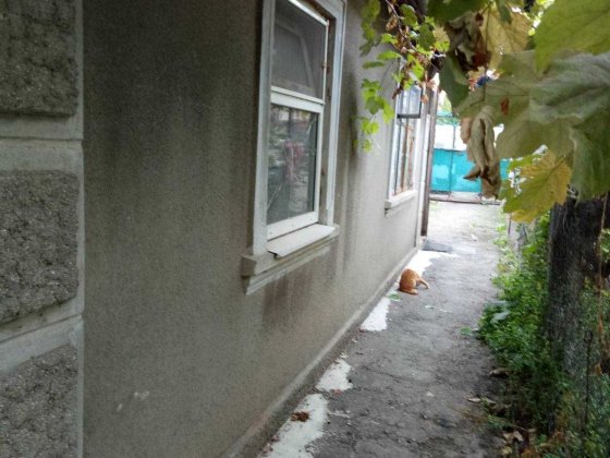 Дом  в Черноморке  на  большом  участке,  12  соток   гос. акт!