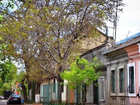 Продам дом в 10 минутах от центра города Одесса