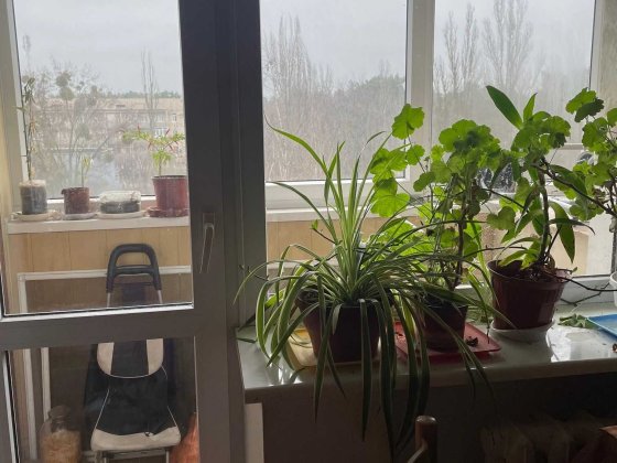 1-нокімнатна квартира, вул,Кубанської України,25/21,  М"Лісова" Київ