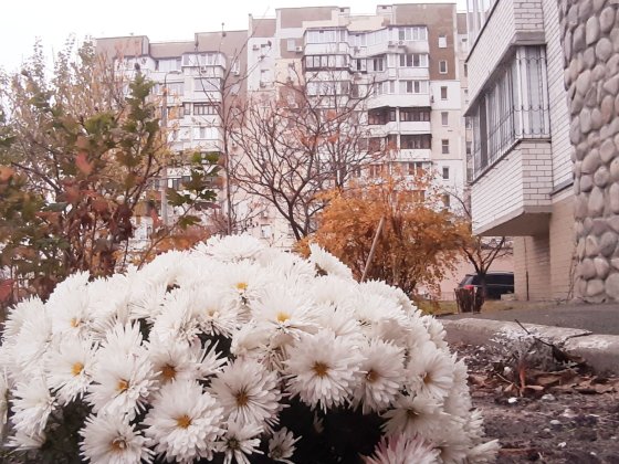 Продаж 3кім кв 3пов/14пов  Цегл.Буд Ремонт 72м 58800$ Р.Рейгана Киев