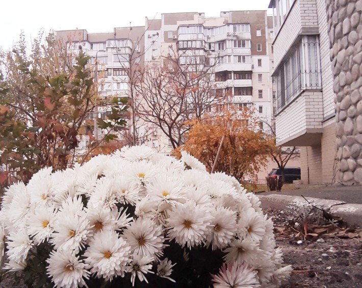 Продаж 3кім кв 3пов/14пов  Цегл.Буд Ремонт 72м 58800$ Р.Рейгана - фото 1