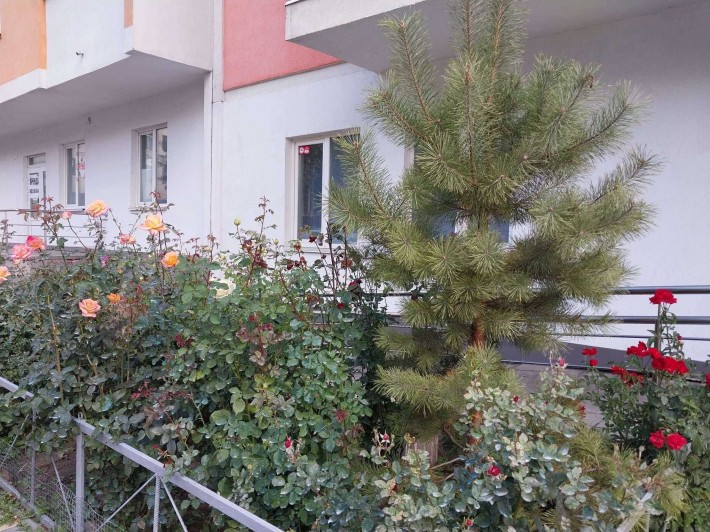 Продаж 1 кімнатної квартири з меблями та технікою. - фото 1