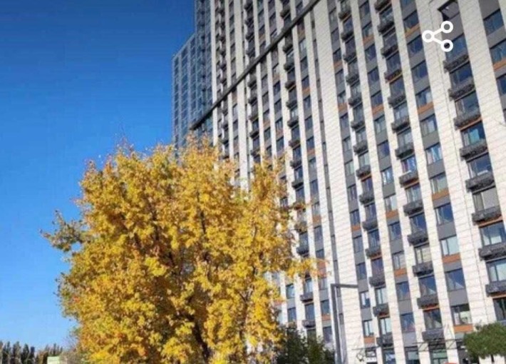 Продам 1-кімн. Заболотного Академіка вул. 1б, 32 м.кв - фото 1